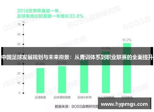 中国足球发展规划与未来愿景：从青训体系到职业联赛的全面提升